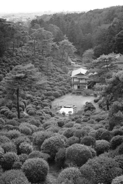 Summicron 50mm f2 第3世代の作例Review