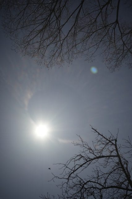 PENTAX Macro Takumar 50mm f4 M42 作例