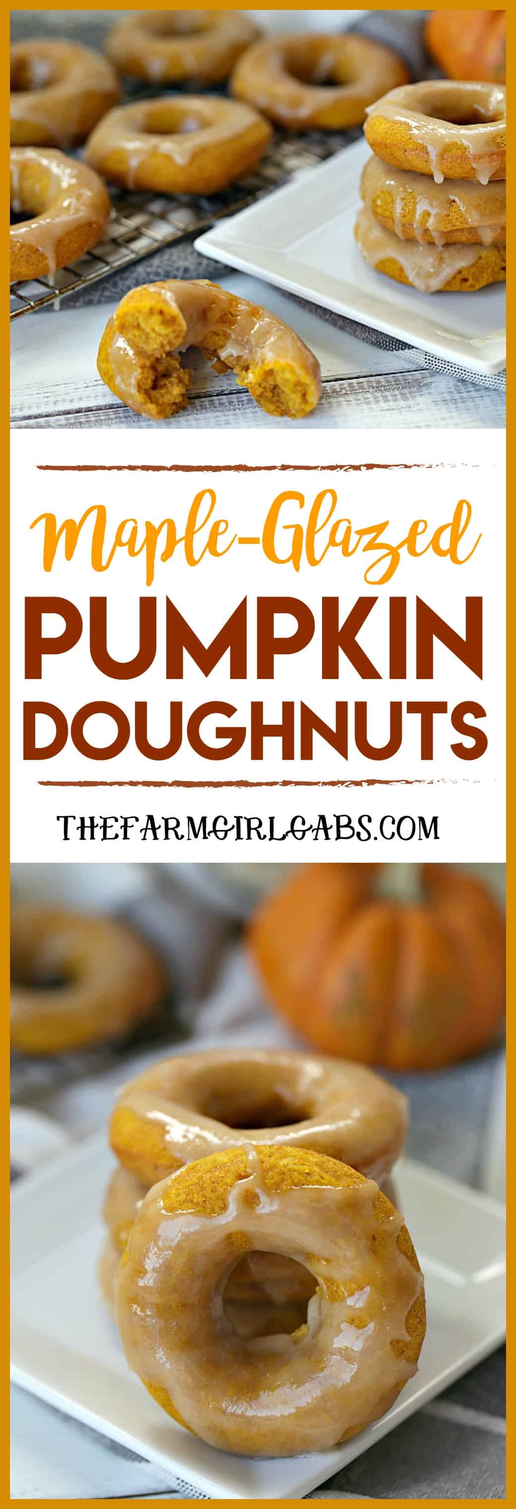 These moist and fluffy Maple Glazed Pumpkin Doughnuts are baked, not fried and are really easy to make. #doughnuts #pumpkin #fallrecipe #dessert #baking