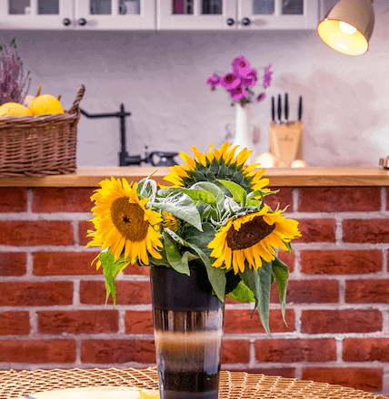 Mazurska Arkadia Apartament Żuraw 3