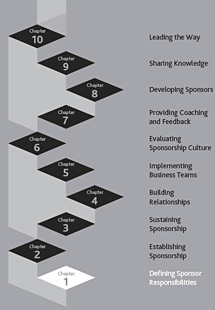 steps to excellence in project sponsorship