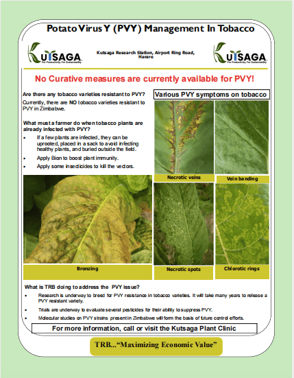 Screen Shot 2026-01-05 at 15.42.14