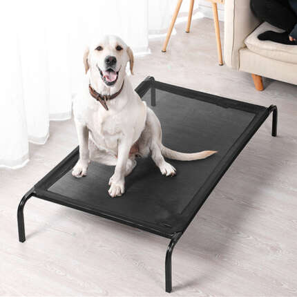 outdoor pet bed cot