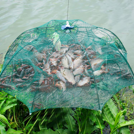 foldable fish trap