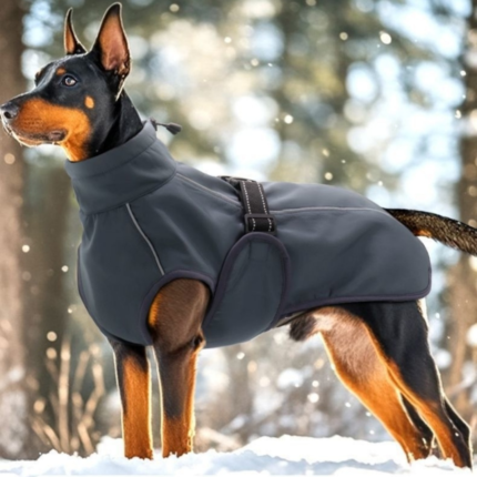 dog winter coat