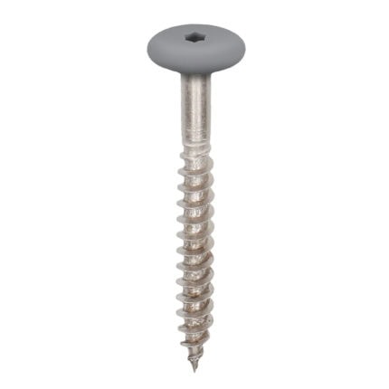Torx schroef 45mm rvs V4A 100st - Grijs