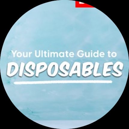 DISPOSABLE VAPES