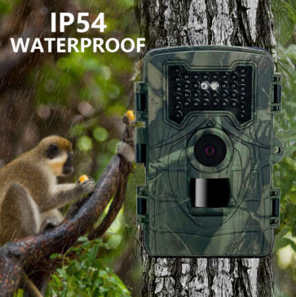 hunting camera with screen
