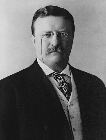 teddy roosevelt