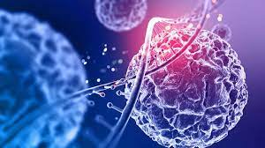 Public Health & Preventive Health