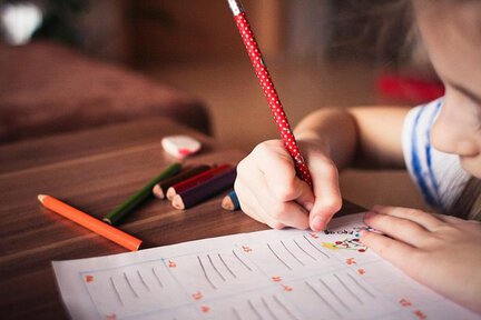 504 Plan or an IEP