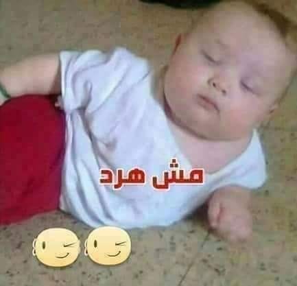 صور رد للتعليقات.