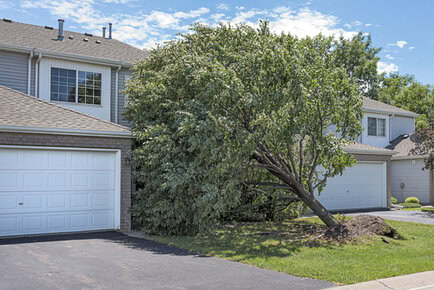 home insurance fallen trees fallen tree on home
