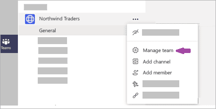 Give-Your-Team-Member-Permission-in-Microsoft-Teams