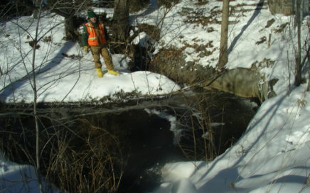worker standing in snow