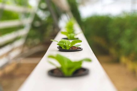 hydroponics indoor garden hydroponics indoor garden