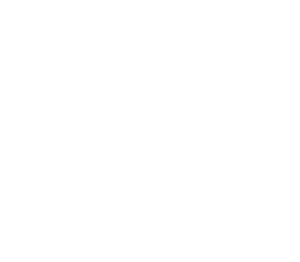 QHHT Dallas