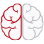 brain icon