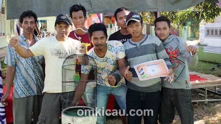 Zainul - lovebird Sahrini