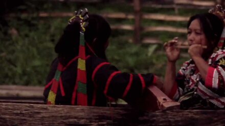 Koyu: The Rhythmic Bamboo Zither Music of the T'boli