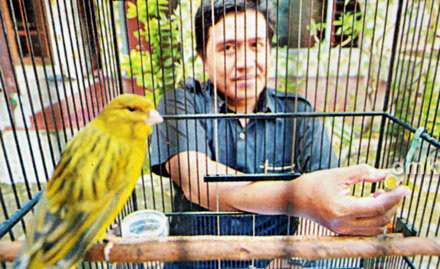 Irul Wistrop dan kenari Green Peace