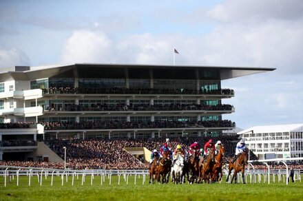 Top 5 Betting Moments From Cheltenham Festival