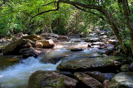 flow_like_water