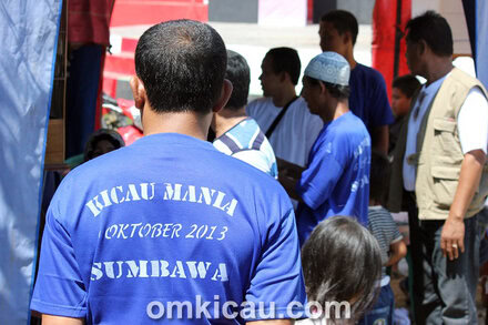 Kontes Burung Samawa 2013