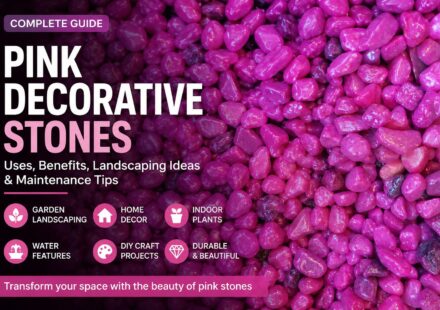 Close-up view of vibrant pink decorative pebbles used for garden landscaping, indoor plant decoration, home décor, and DIY craft projects.