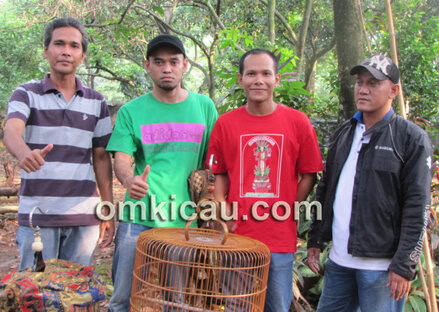Asmanudin dan cucak hijau Steam