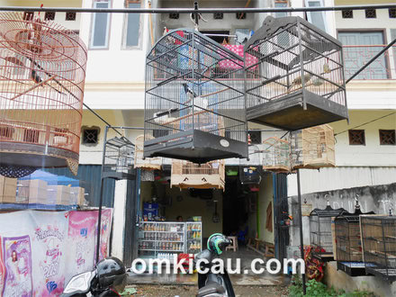 Toko Burung Hose