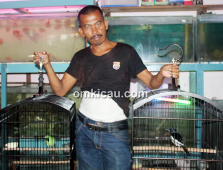 Mr Gampang