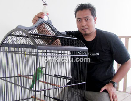 Jhonpur dan cucak hijau Rawing