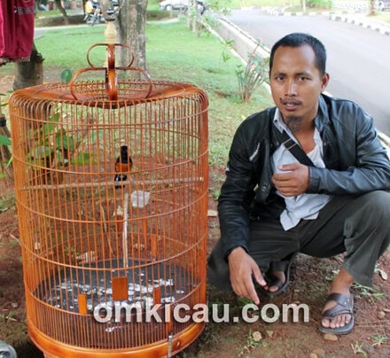 Mulyono dan murai batu Koboy