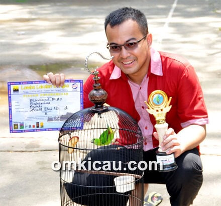 kelas serindit