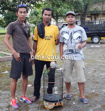 Adi Pitik (tengah) siap bersaing dengan gaco mapan di HUT Ke-1 GPBC Sleman, Minggu (5/5).