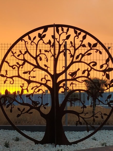 Árbol de la vida