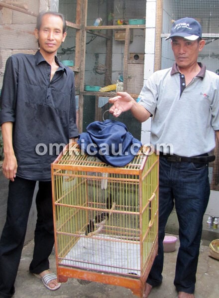 Sufi Bird Farm Jakarta