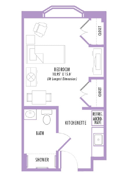 Floor plan of a compact living space featuring a bedroom measuring 10.95' x 15', a kitchenette, a bathroom with a shower, and two closets. The layout includes designated areas for furniture and appliances.