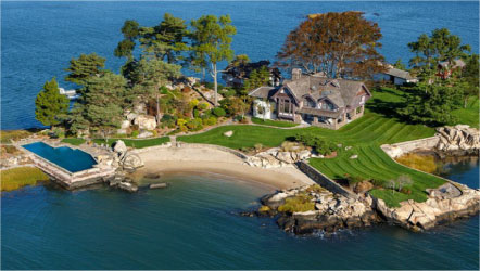 131204.lions.tribune.01.442x250