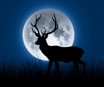 What time is the full ‘Buck Moon’ eclipse tonight in Toronto?