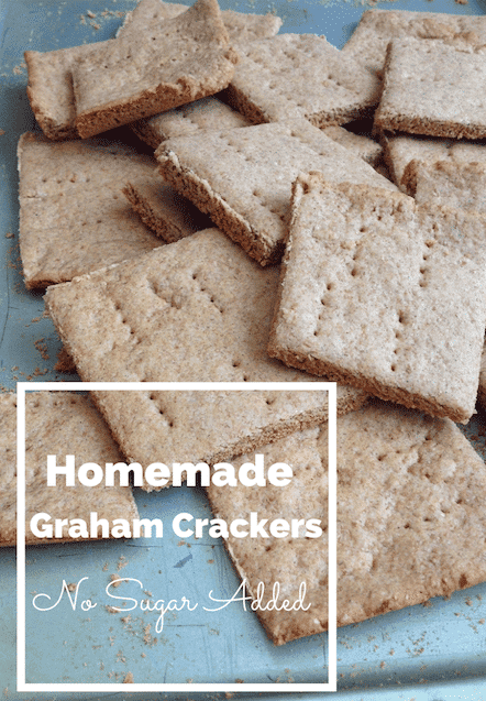 Homemade Graham Crackers