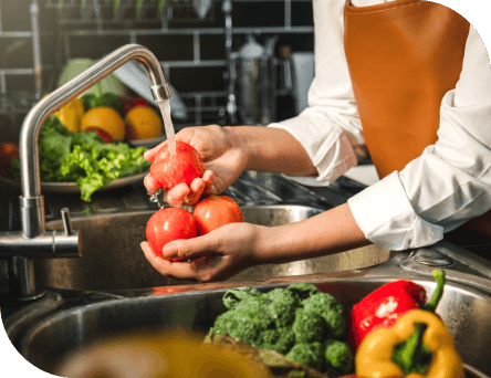 Hygiene Solutions for Food Services