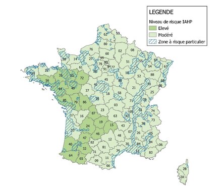 influenza aviaire, le risque reste élevé dans les Hautes Pyrénées