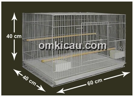 Dua unit kandang breeding lovebird bisa digandeng untuk kandang gantung murai batu.