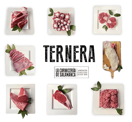 BANNER-MVL-TERNERA-ONLINE