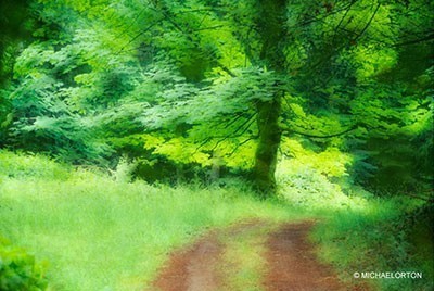 tutorial efecto orton