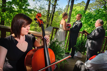 eureka springs treetop wedding at crescent cottages