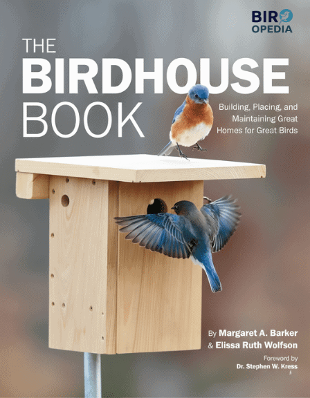 How Many Birdhouses Are There on the Property