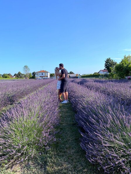 Lavanda del Brenta, un lugar insólito en Veneto